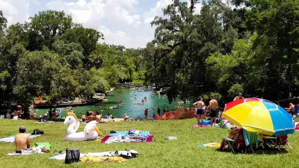 Cheap Things to Do in Orlando Florida picture of wekiwa springs state park